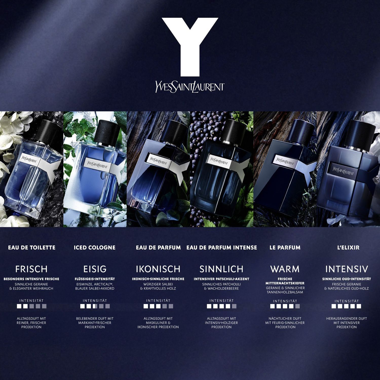 Y Iced Cologne Eau de Toilette Intense