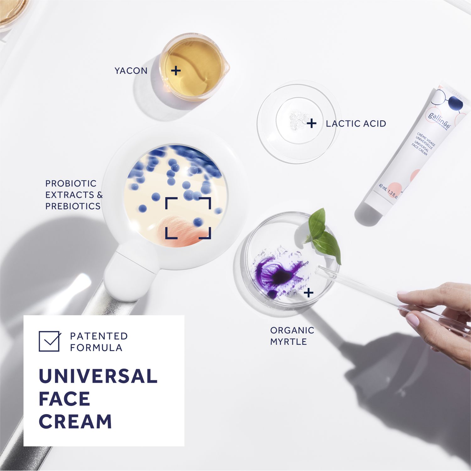 Universal Face Cream