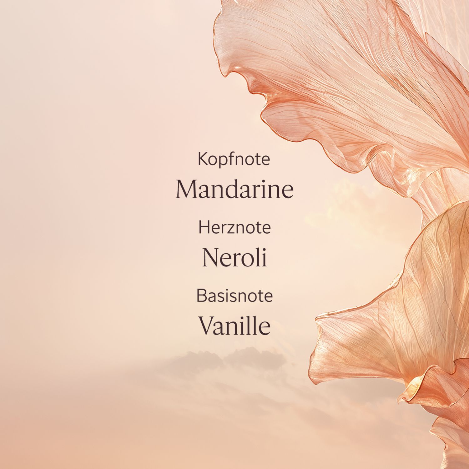 Neroli Orchidee Handcreme 30ml
