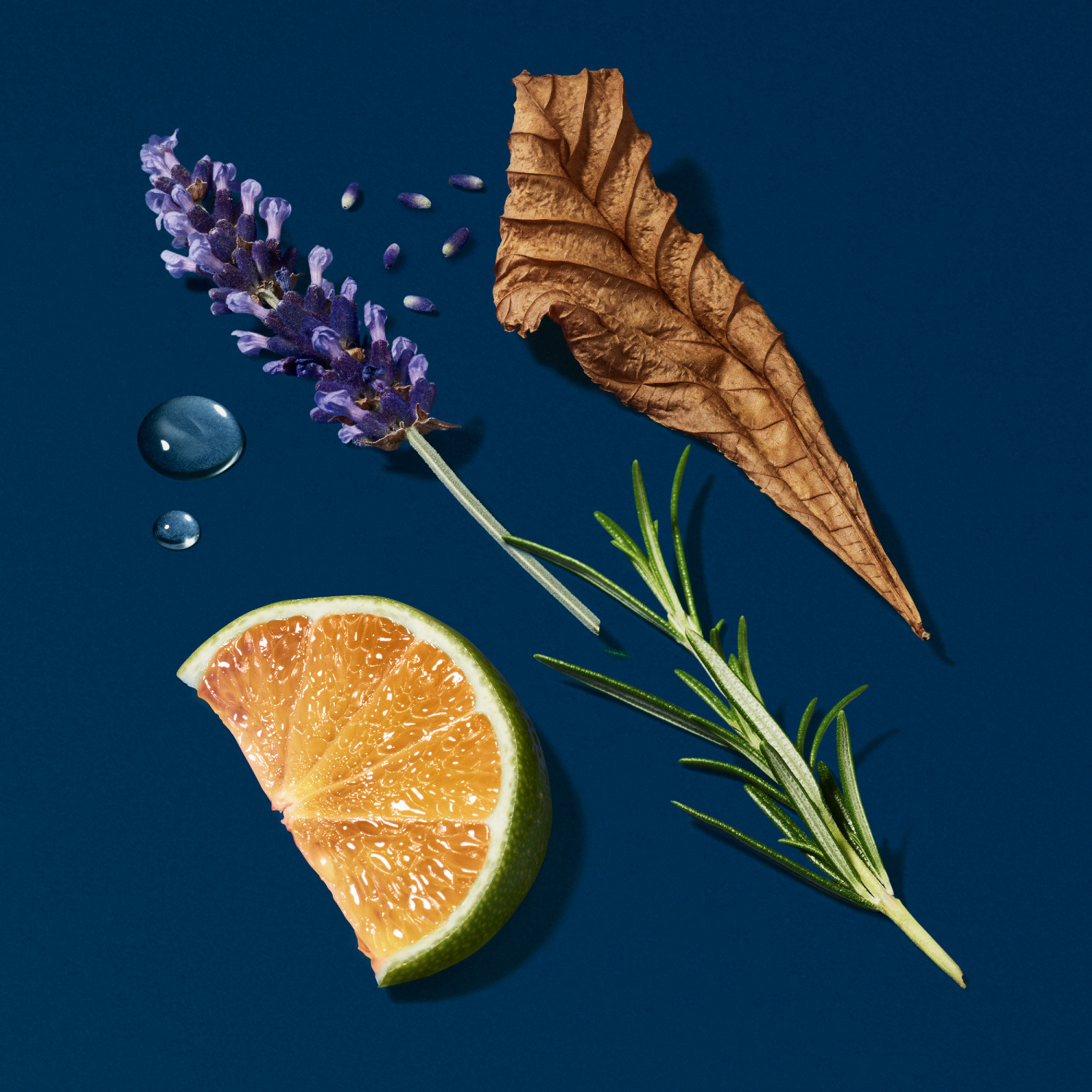 Acqua di Giò Profondo Eau de Parfum Refill