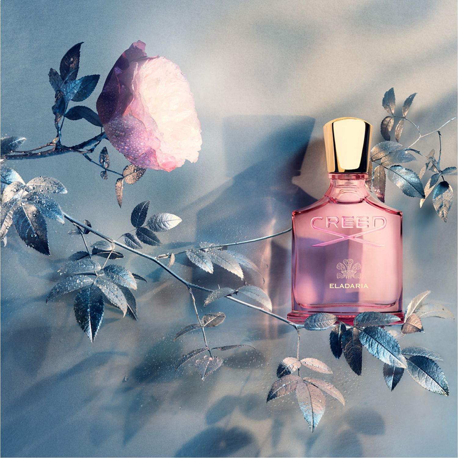Eladaria Eau de Parfum