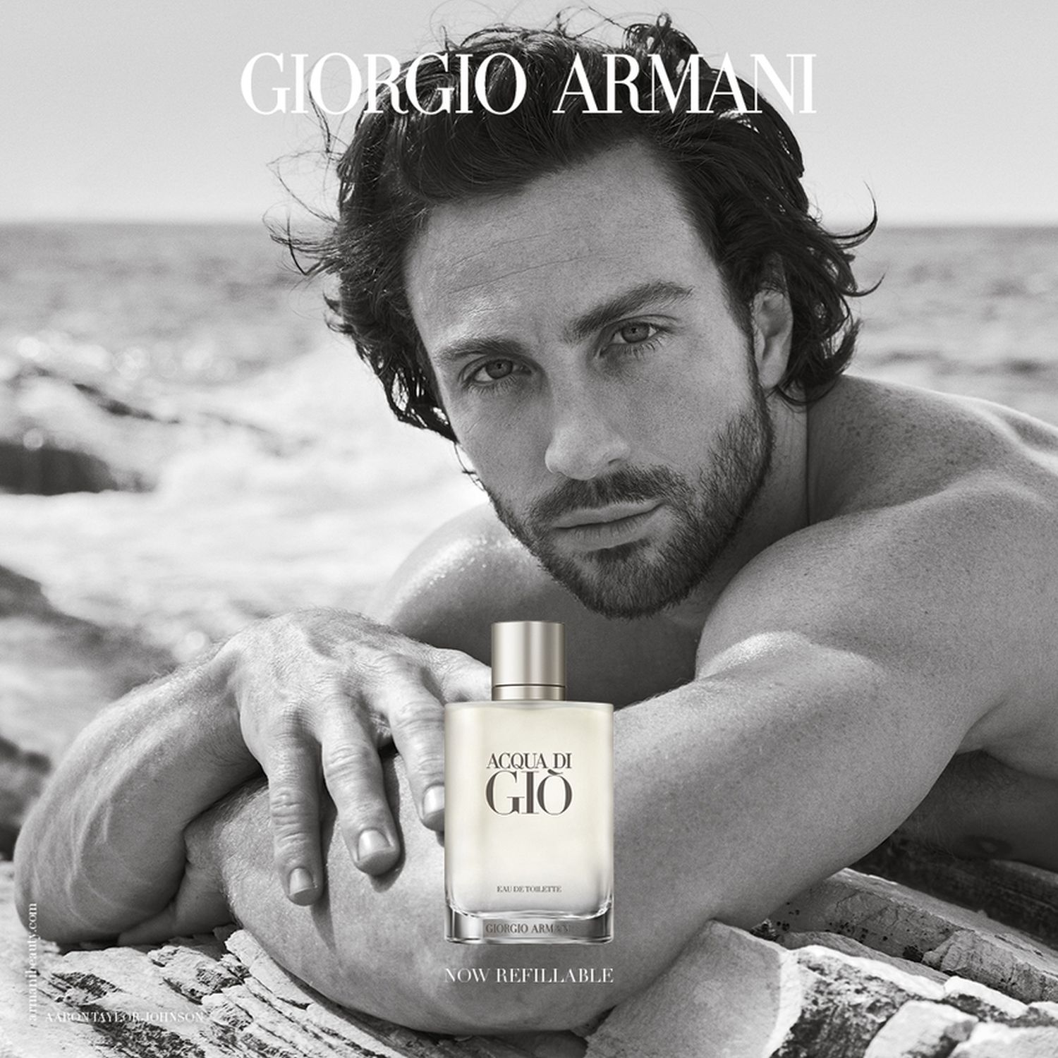 Acqua Di Giò Eau de Toilette Refill