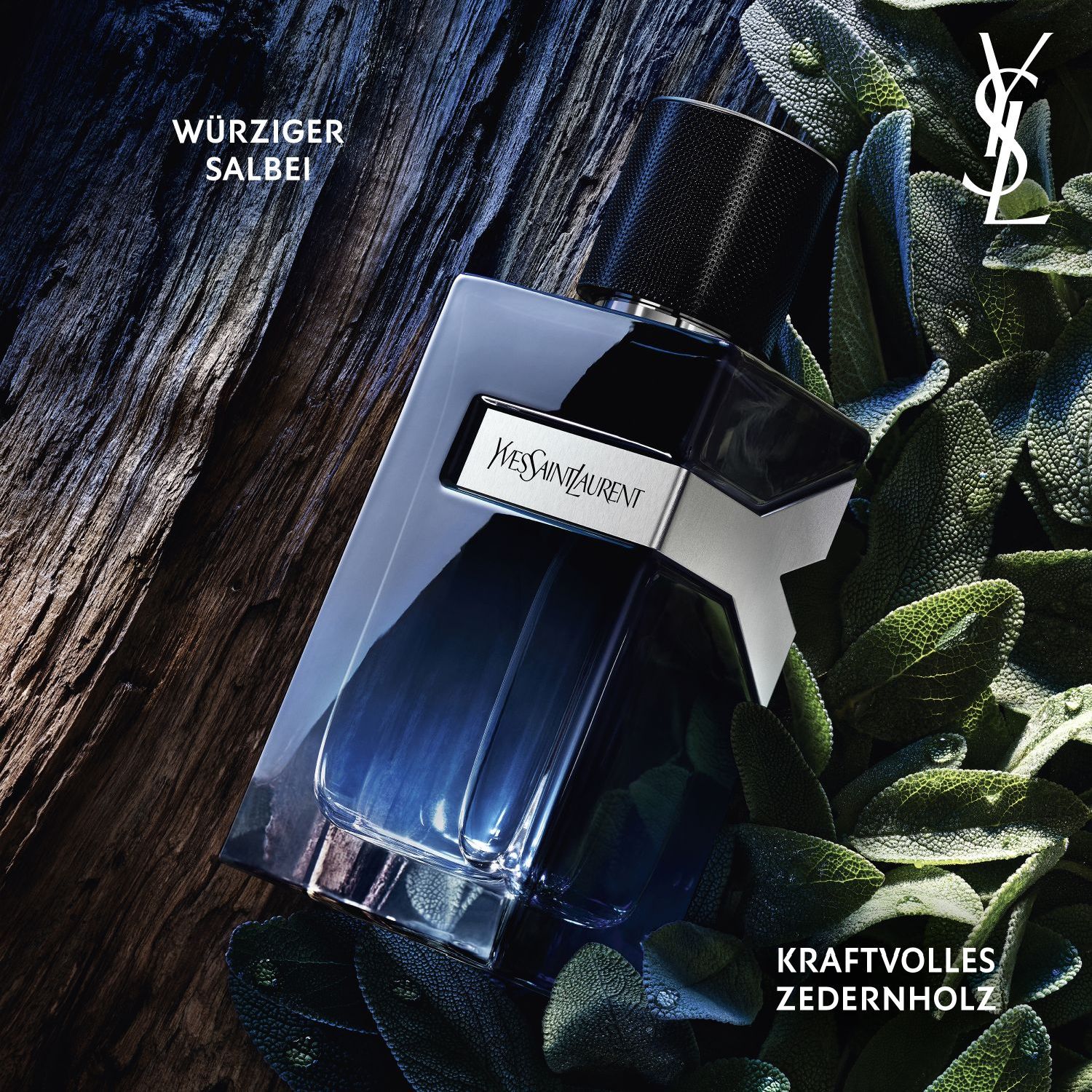 Y Eau de Parfum (Refillable)