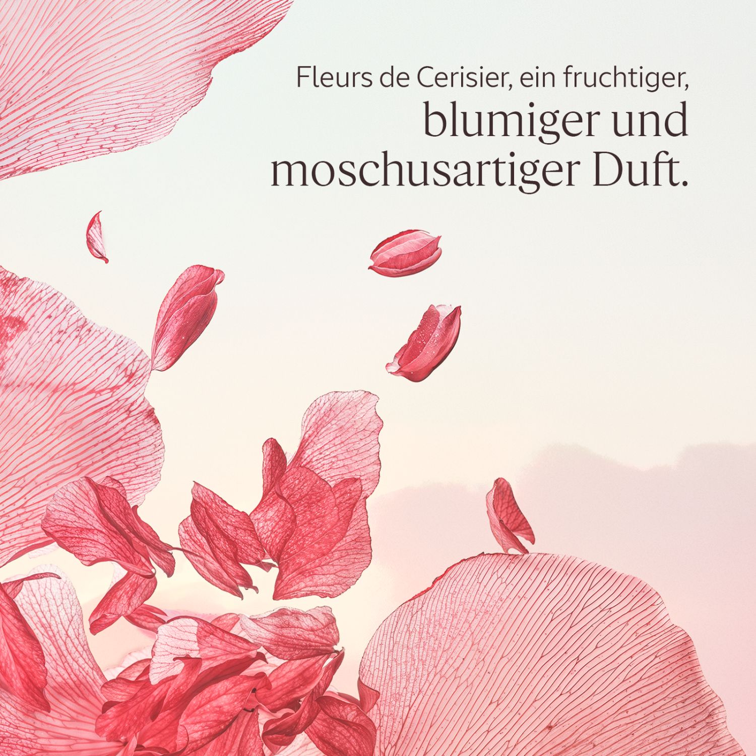 Fleurs de Cerisier Handcreme 30ml