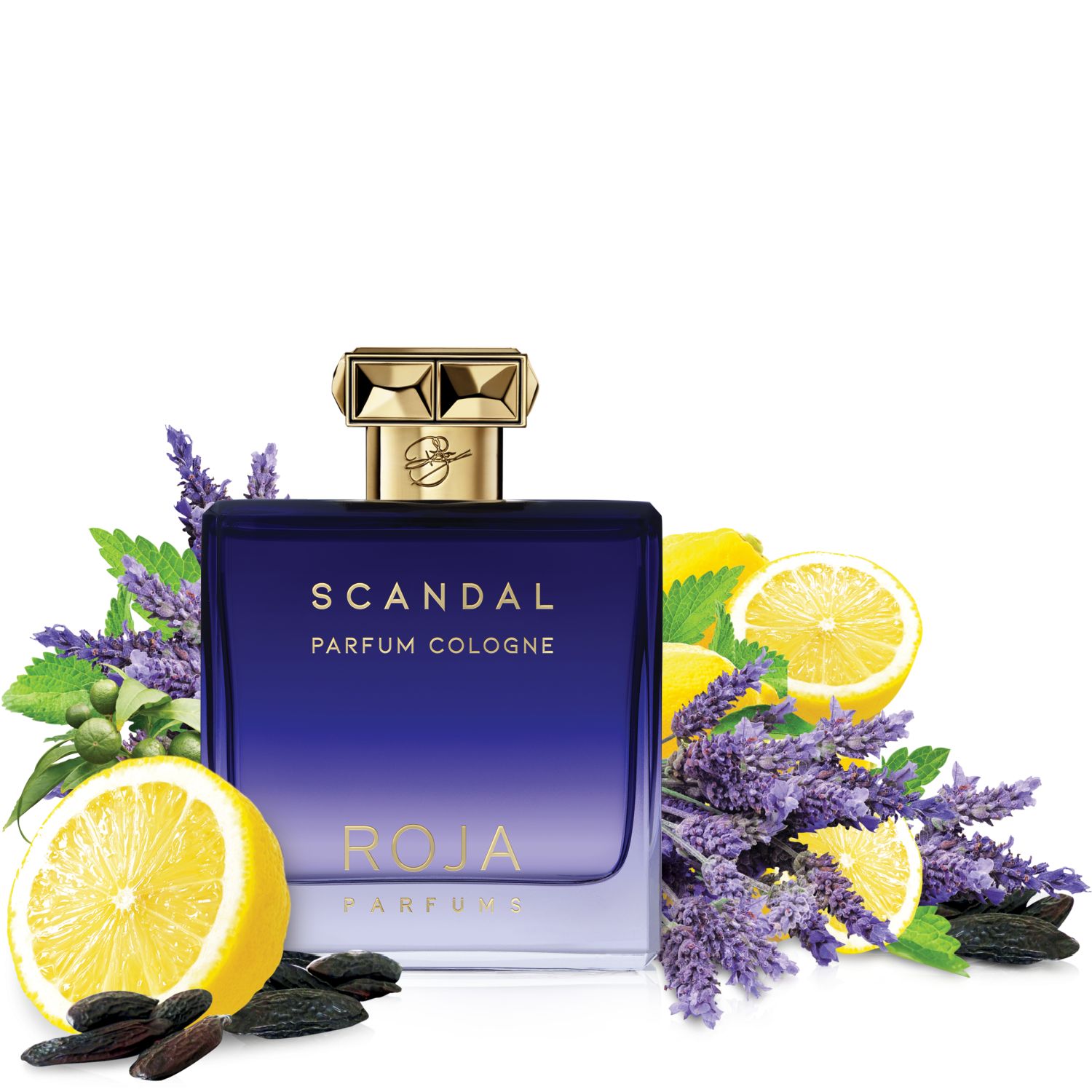 Scandal Homme EDP 100ml