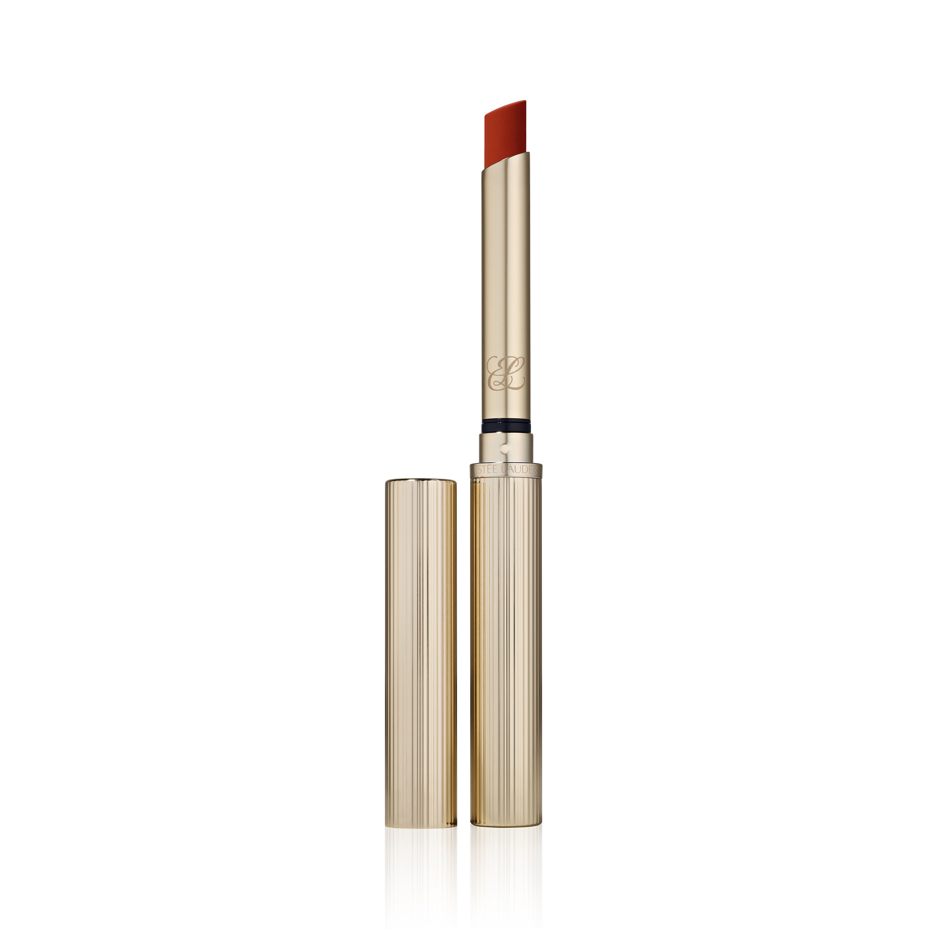 Pure Color Explicit Matte Lipstick