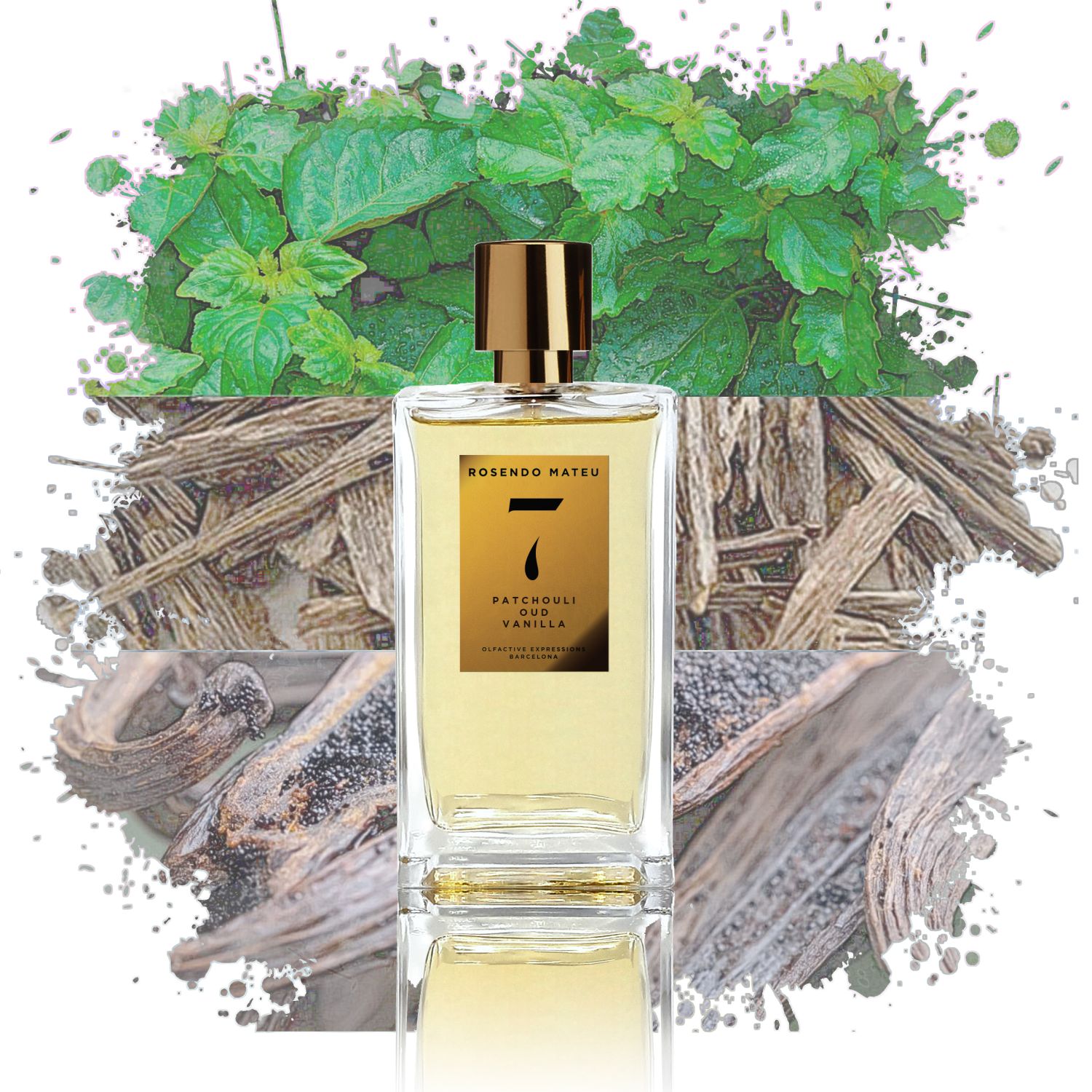 Rosendo Mateu 7 Eau de Parfum