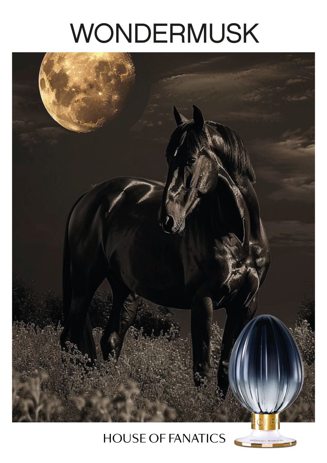 WONDERMUSK Eau de Parfum