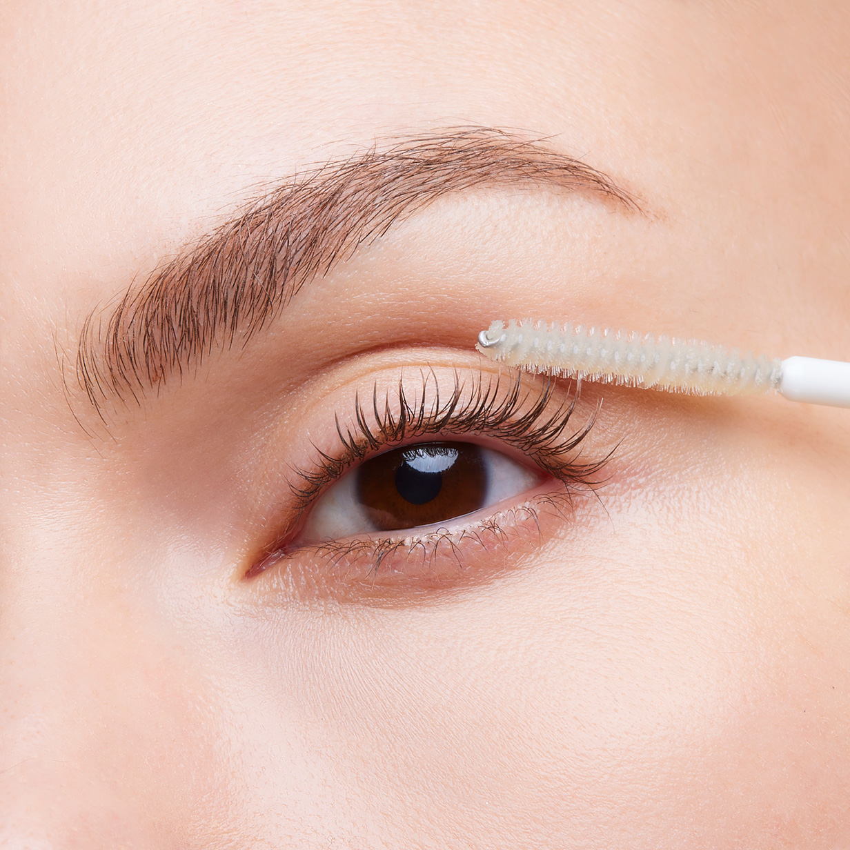 SE Lash Conditioner 10ml