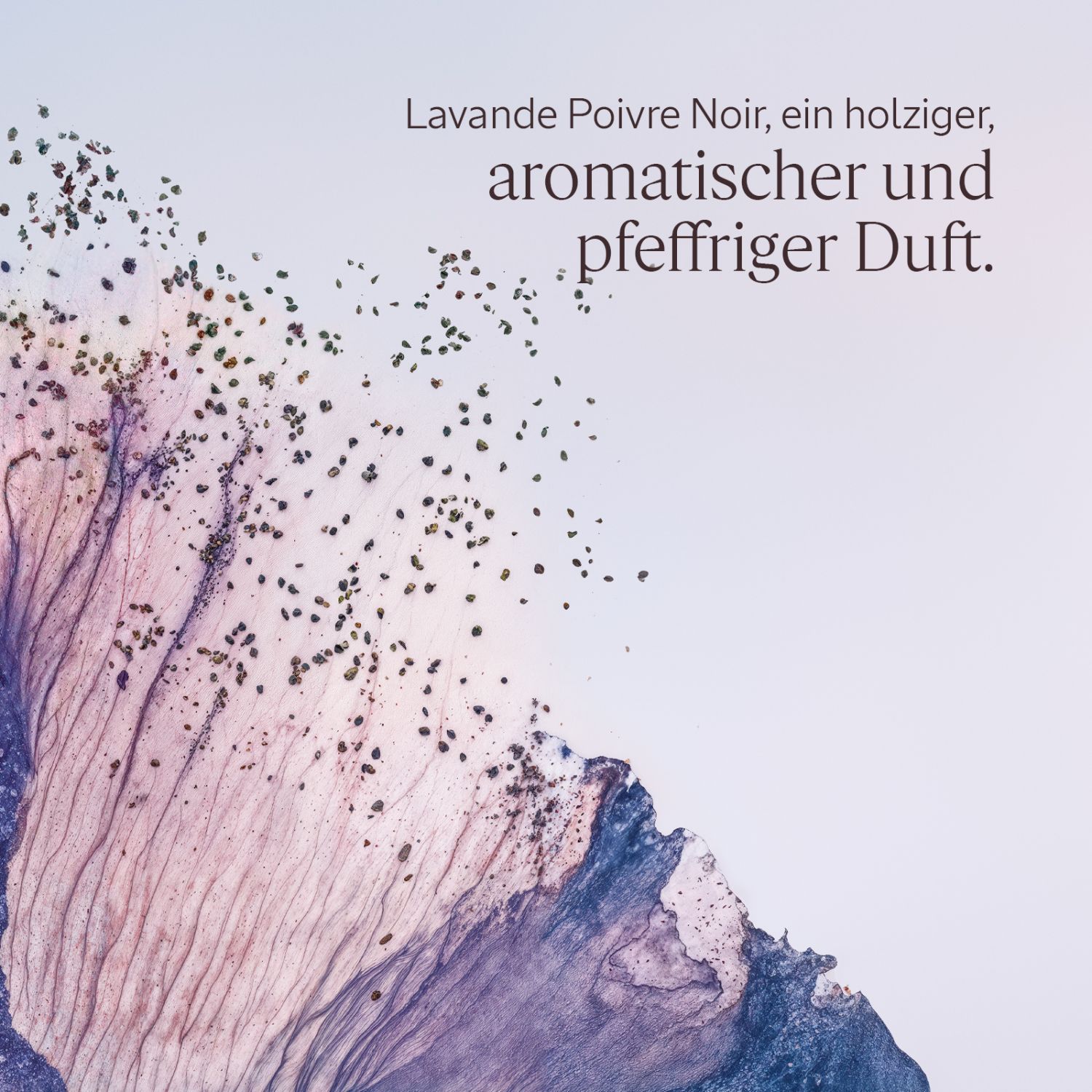 Lavende Poivre Noir Deoroller 50ml