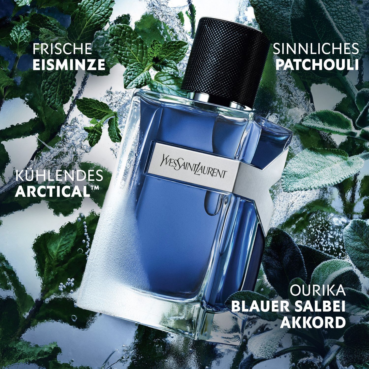 Y Iced Cologne Eau de Toilette Intense