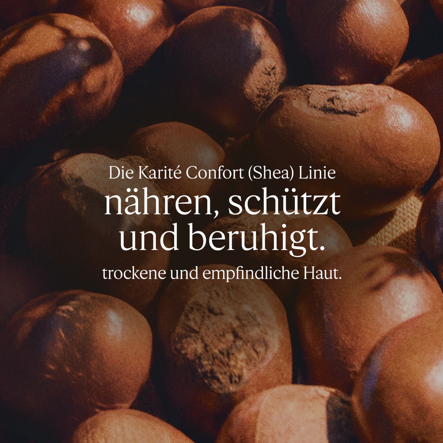 Karité Confort Shea Fusscreme
