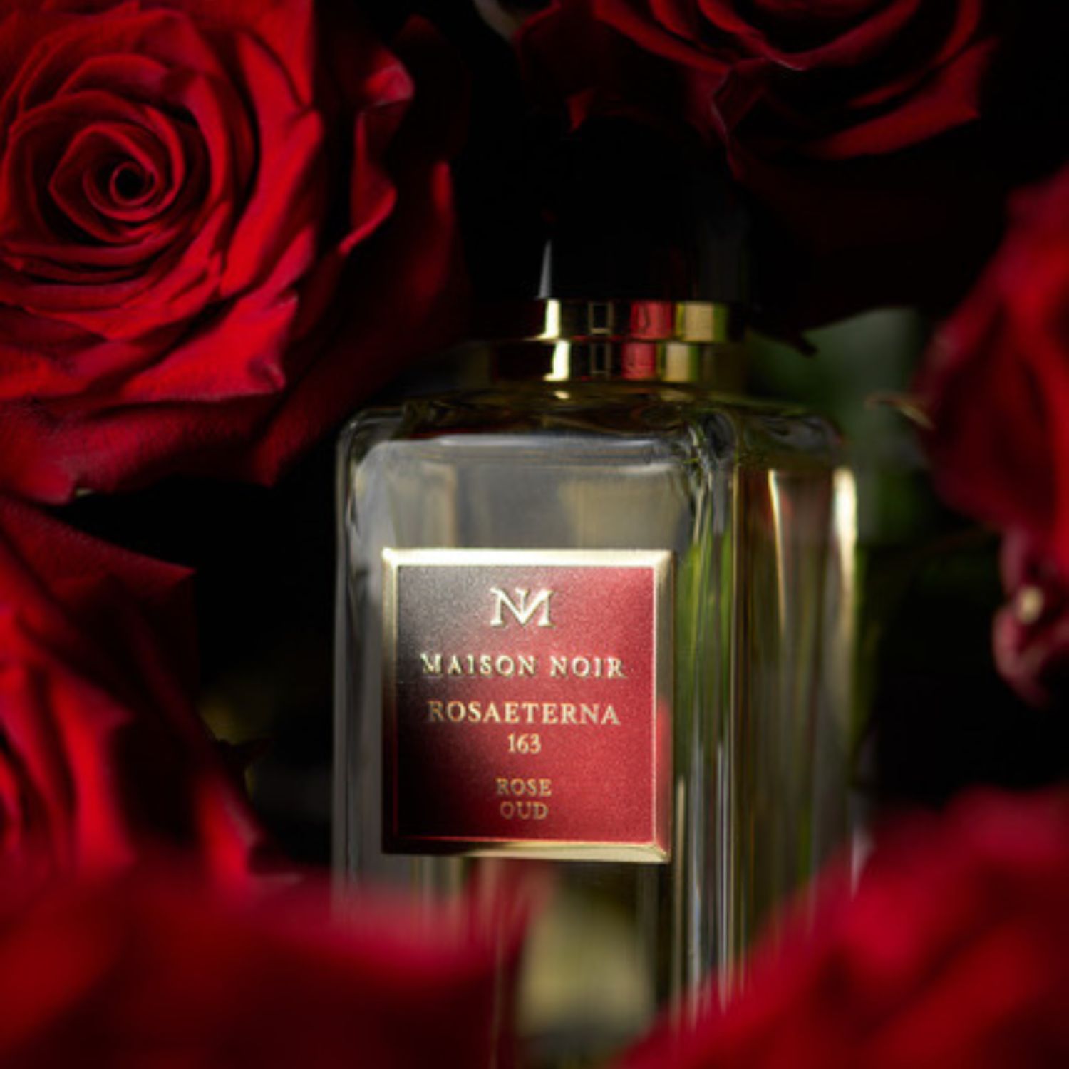 Rosa Eterna 163 Eau de Parfum
