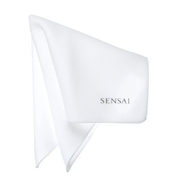 SE Sponge Chief