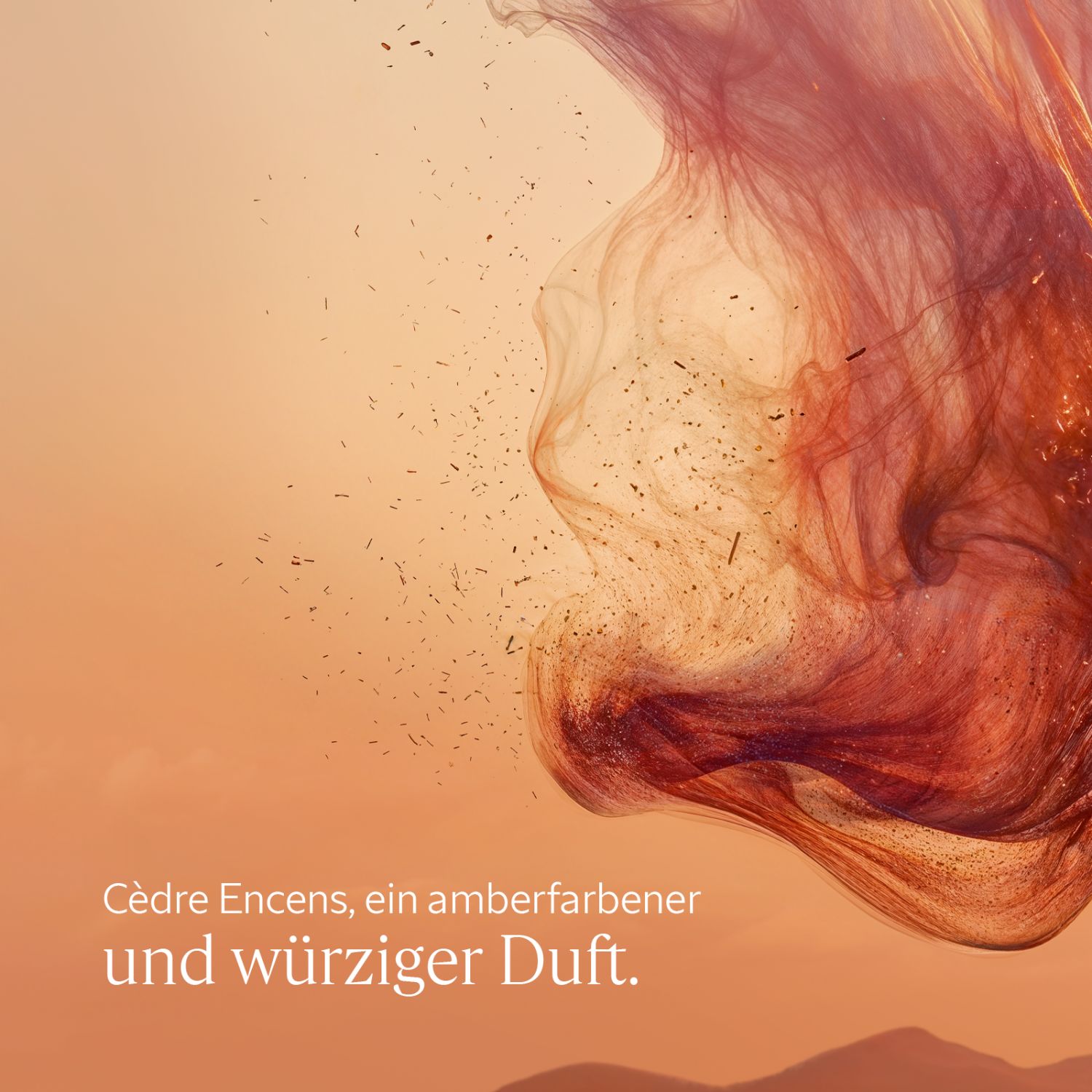 Cedre Encens Duschgel