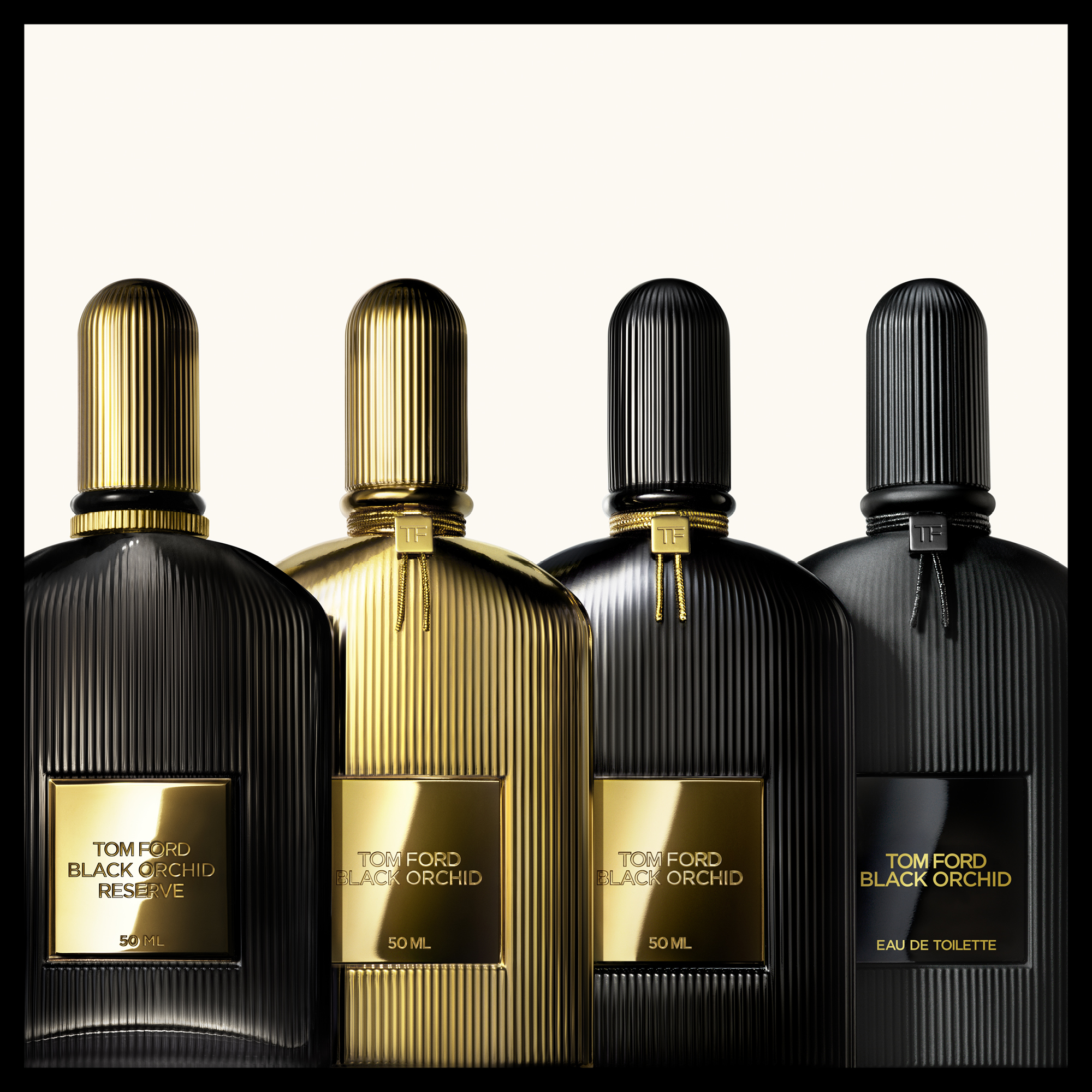 Black Orchid Discovery Collection