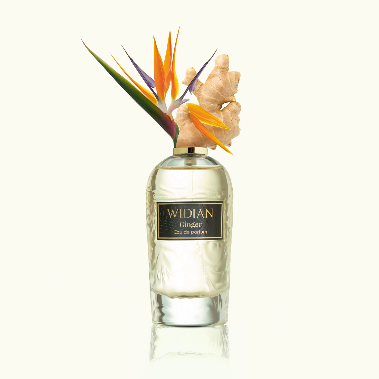 Ginger Parfum