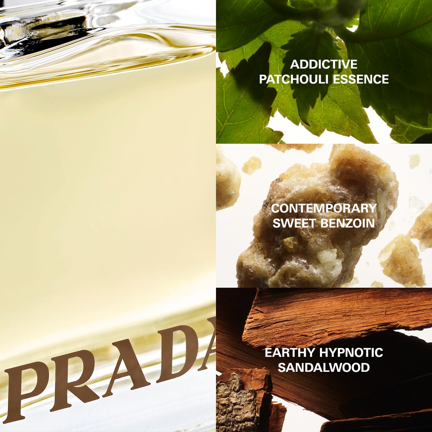 Femme Amber Classic Eau de Parfum