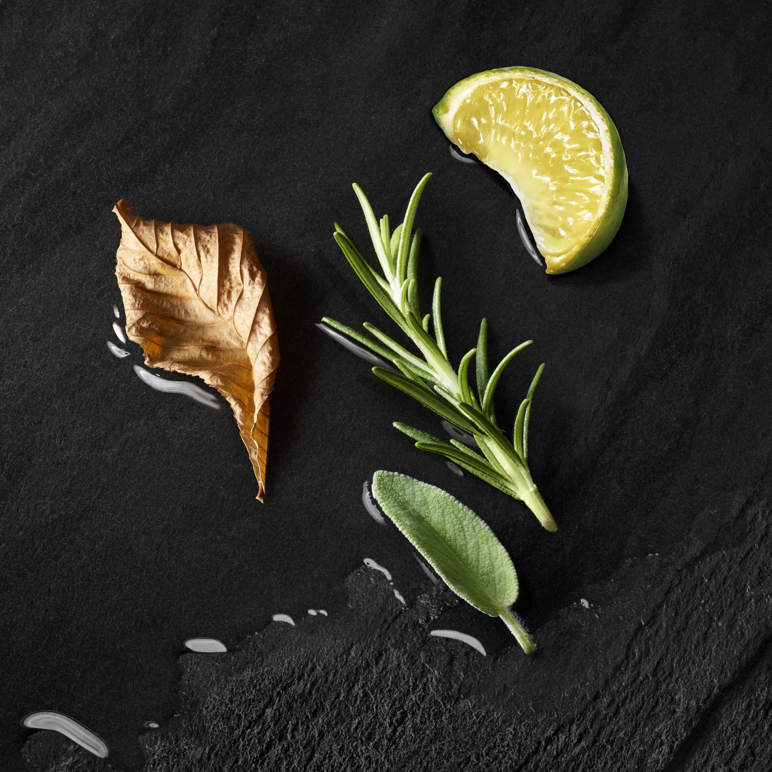 Acqua di Giò Parfum Refill