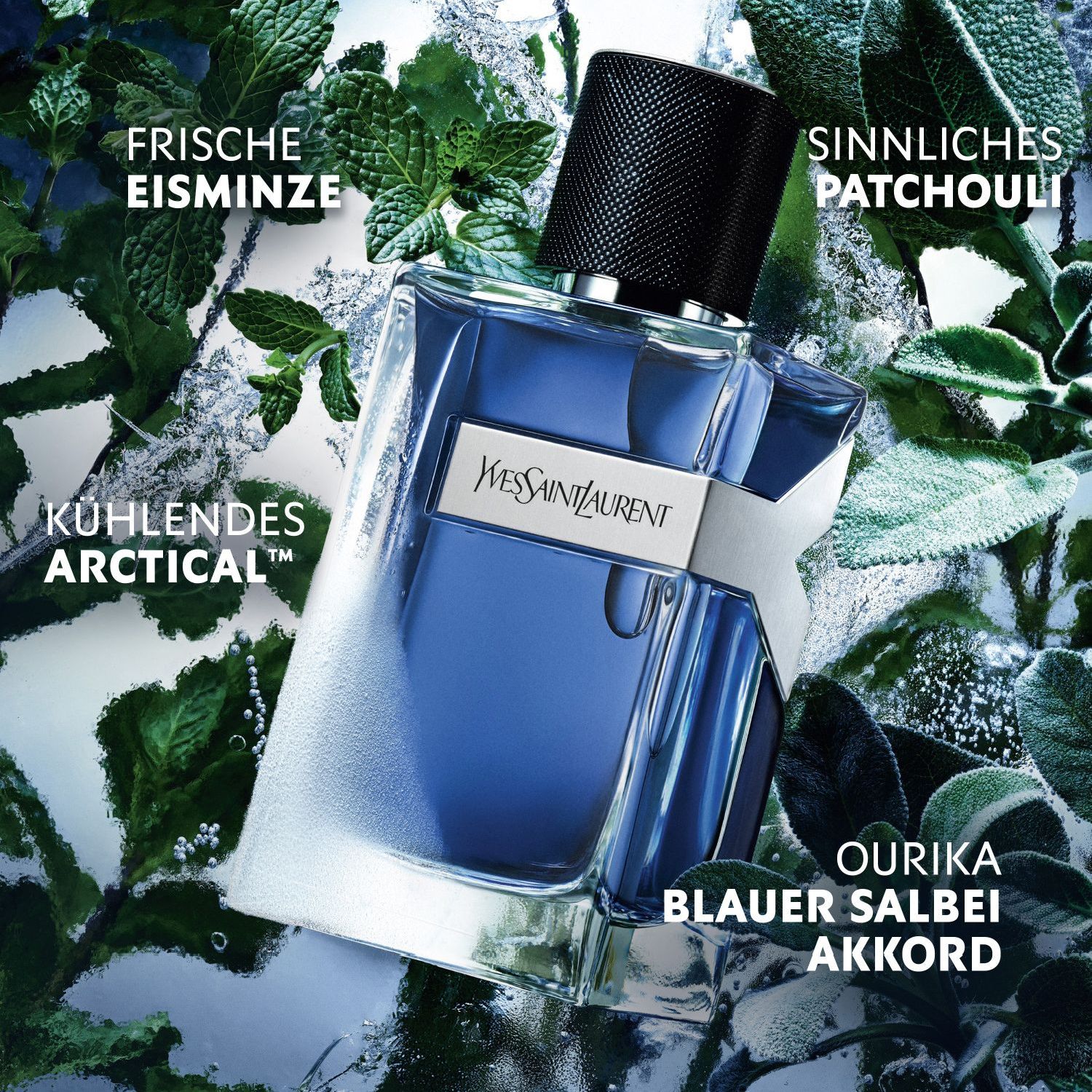 Y Iced Cologne Eau de Toilette Intense