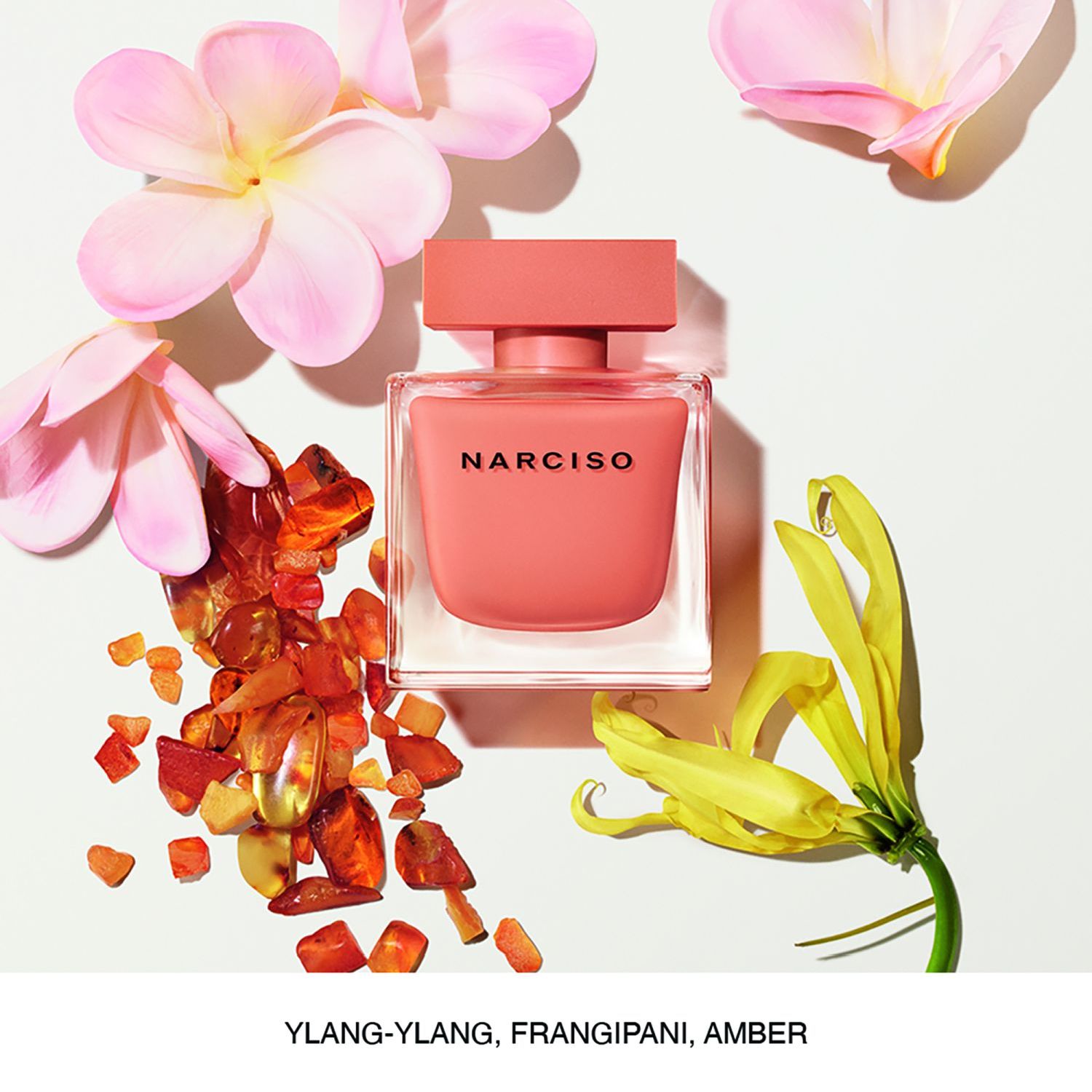 NARCISO Ambrée Eau de Parfum