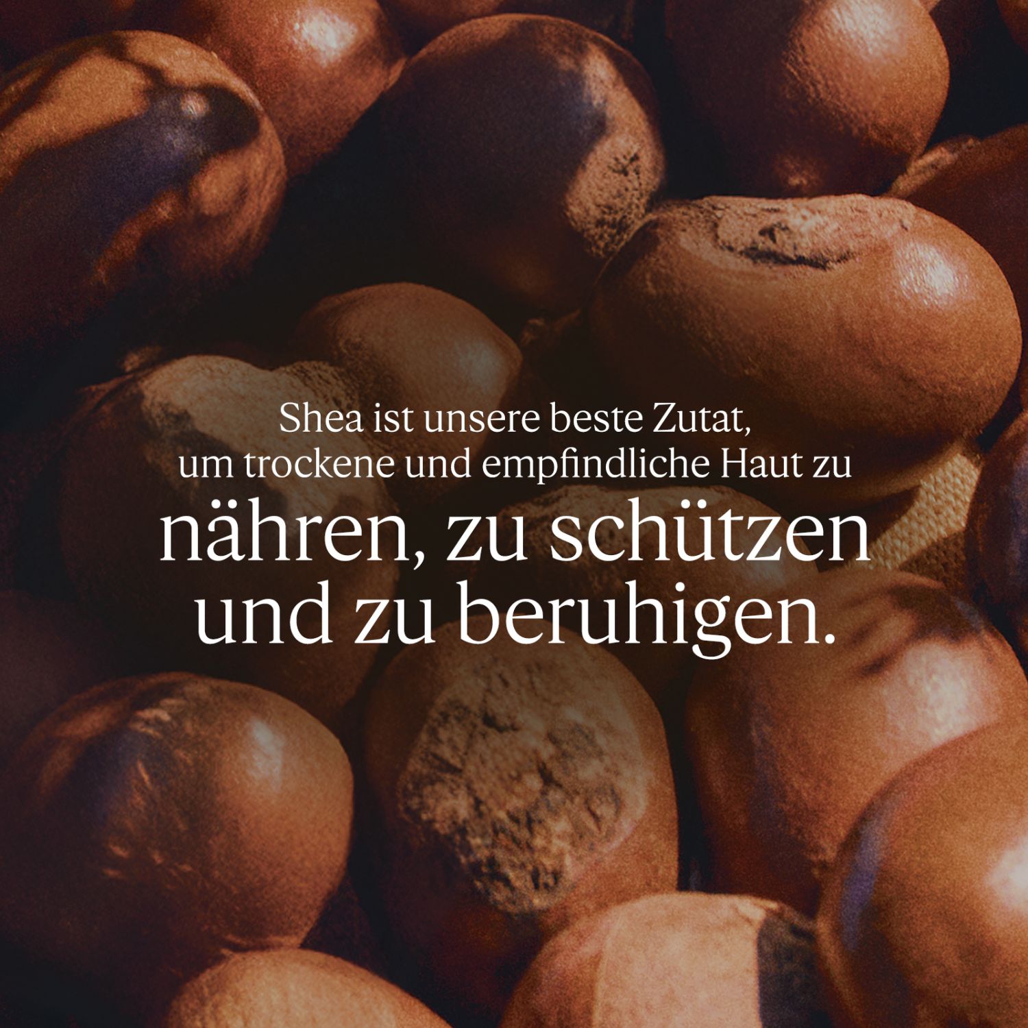 Karité Confort Shea Handcreme