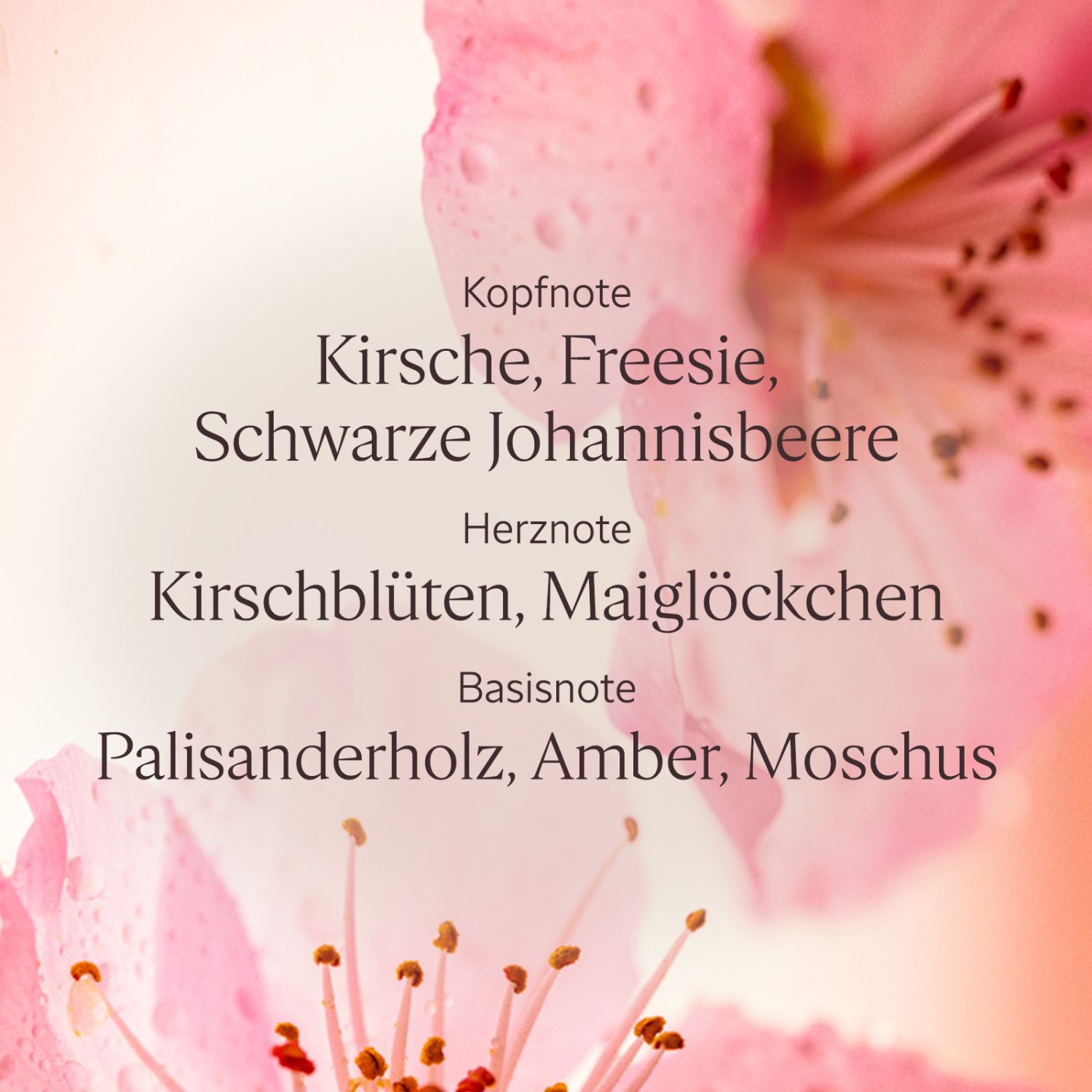 Fleurs de Cerisier Handcreme