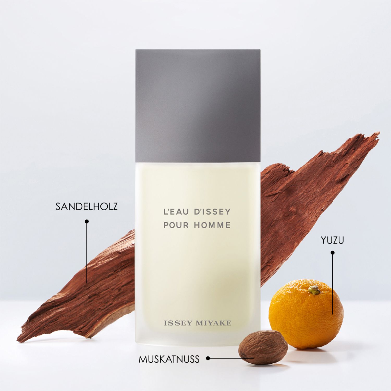 L'Eau d'Issey pour Homme Eau de Toilette