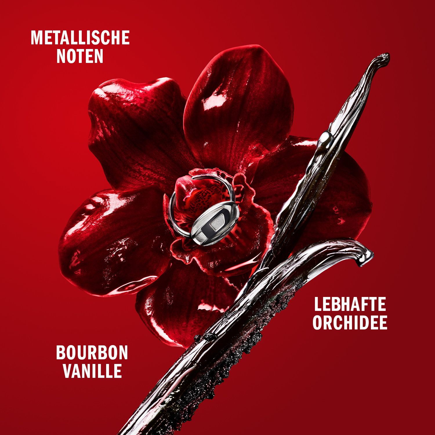 Only Desire Eau de Parfum