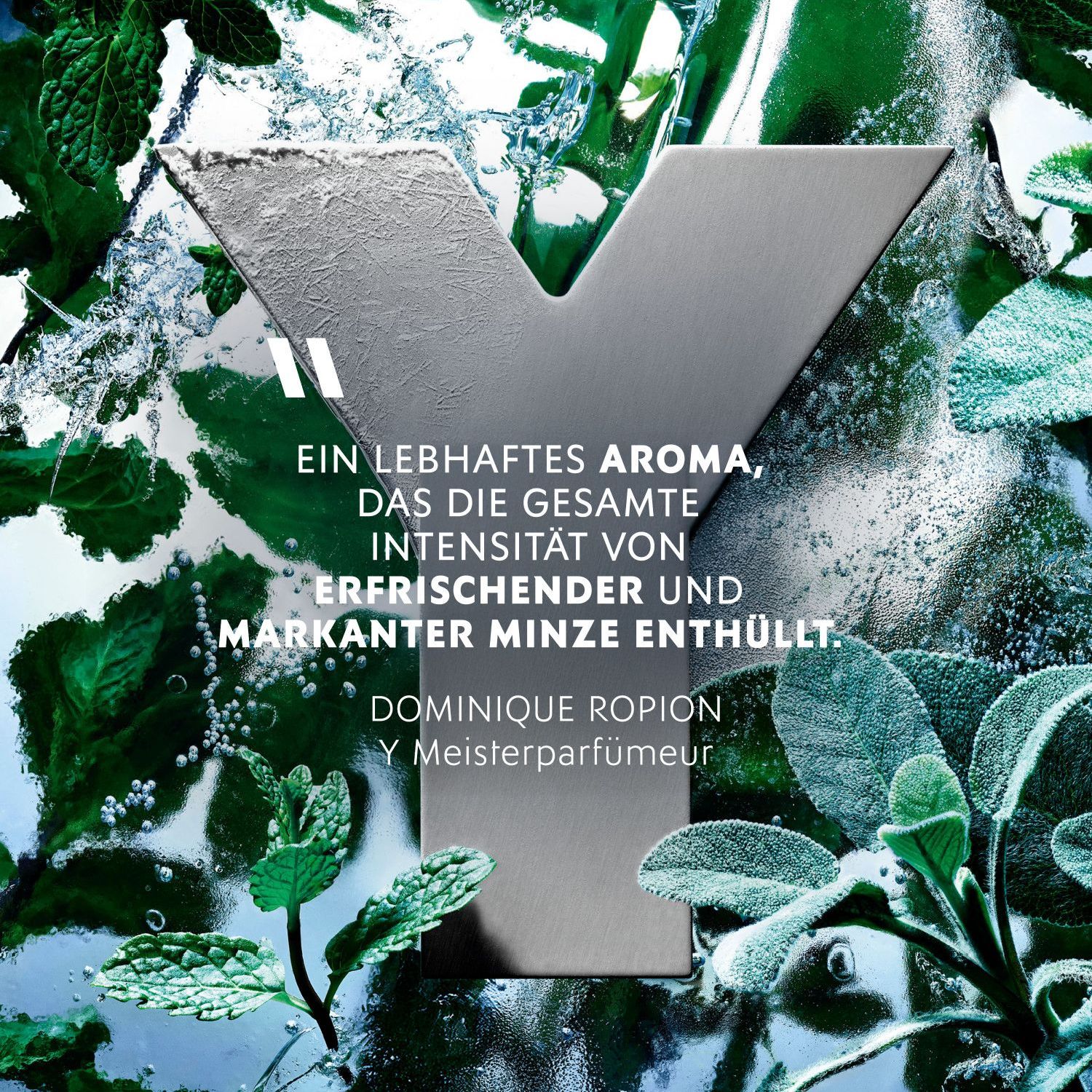 Y Iced Cologne Eau de Toilette Intense