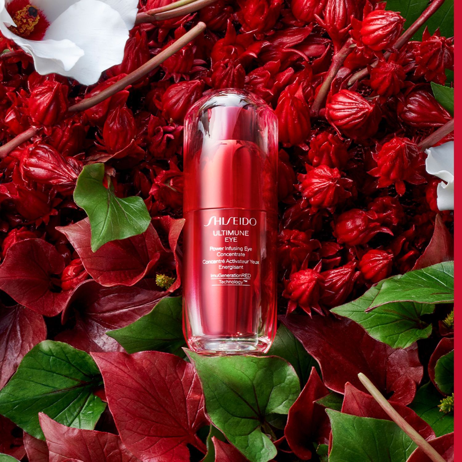 Ultimune EYE Power Infusing Eye Concentrate