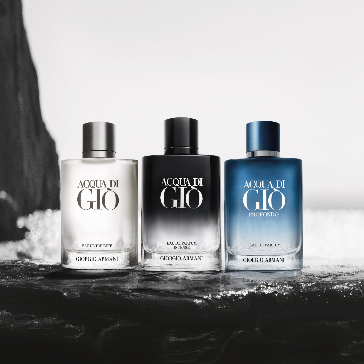 Acqua Di Giò Intense Eau de Parfum