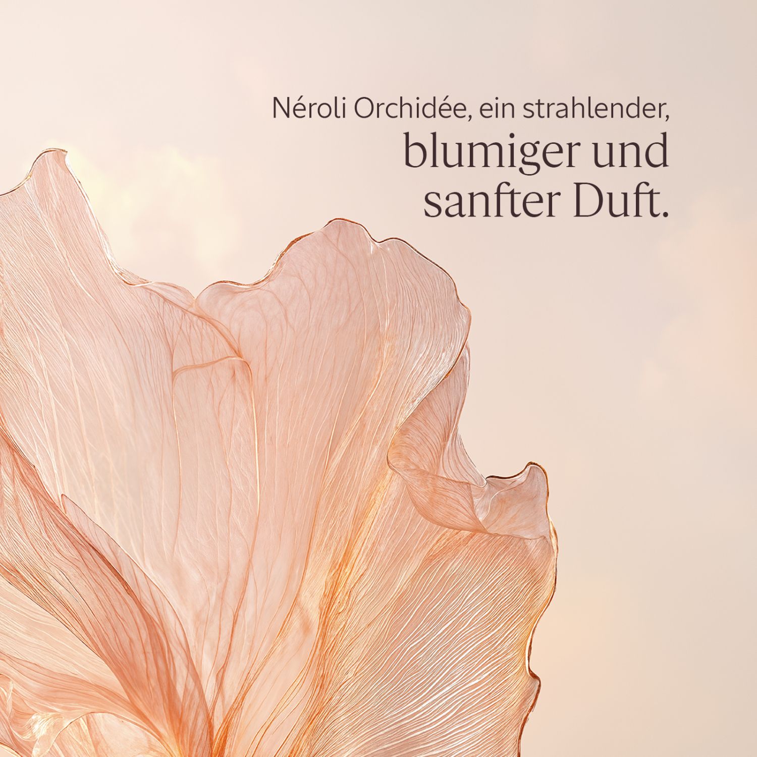 Neroli Orchidee Handcreme 30ml