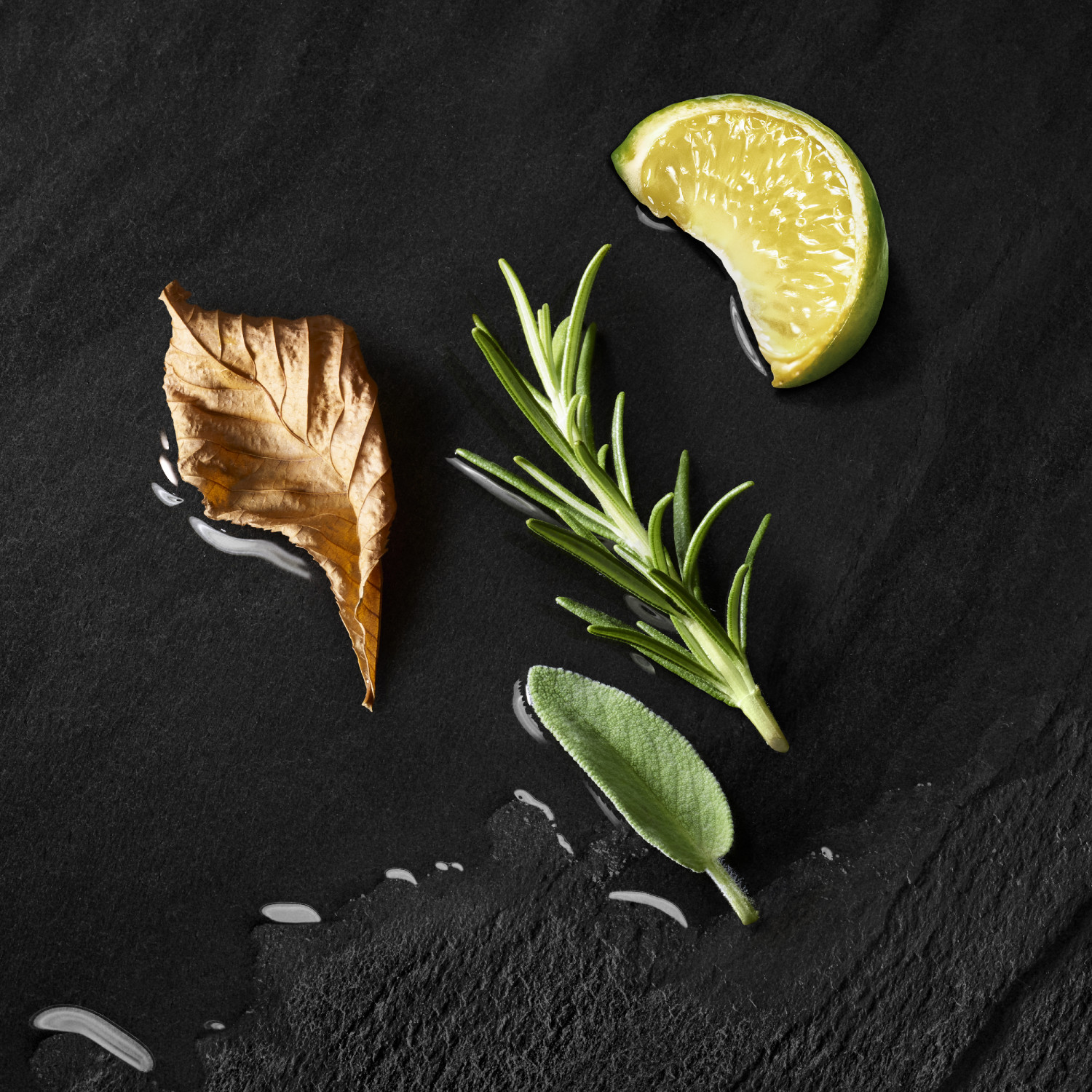 Acqua di Giò Parfum Refill